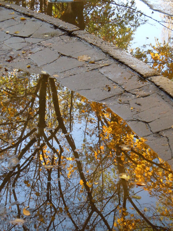 Осень.Зеркало воды отражает жизнь - Ольга Заметалова