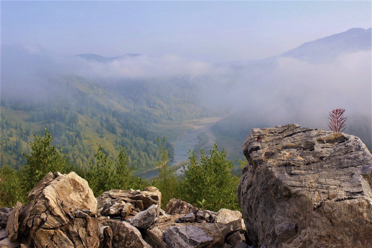 Туман в долине - Сергей Чиняев 