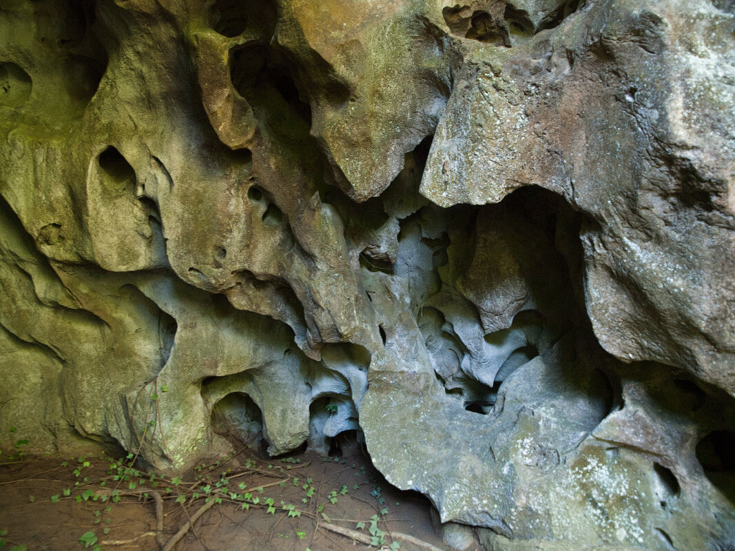В пещерах - Николай 