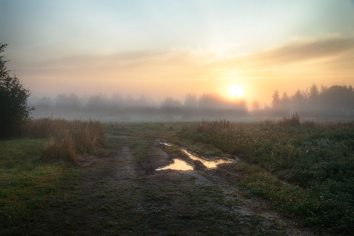 туманное утро сентября - Эльмира Суворова