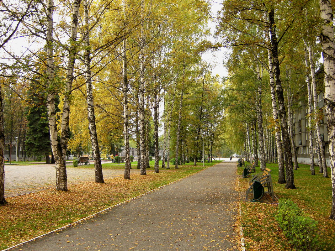 Осень - Радмир Арсеньев