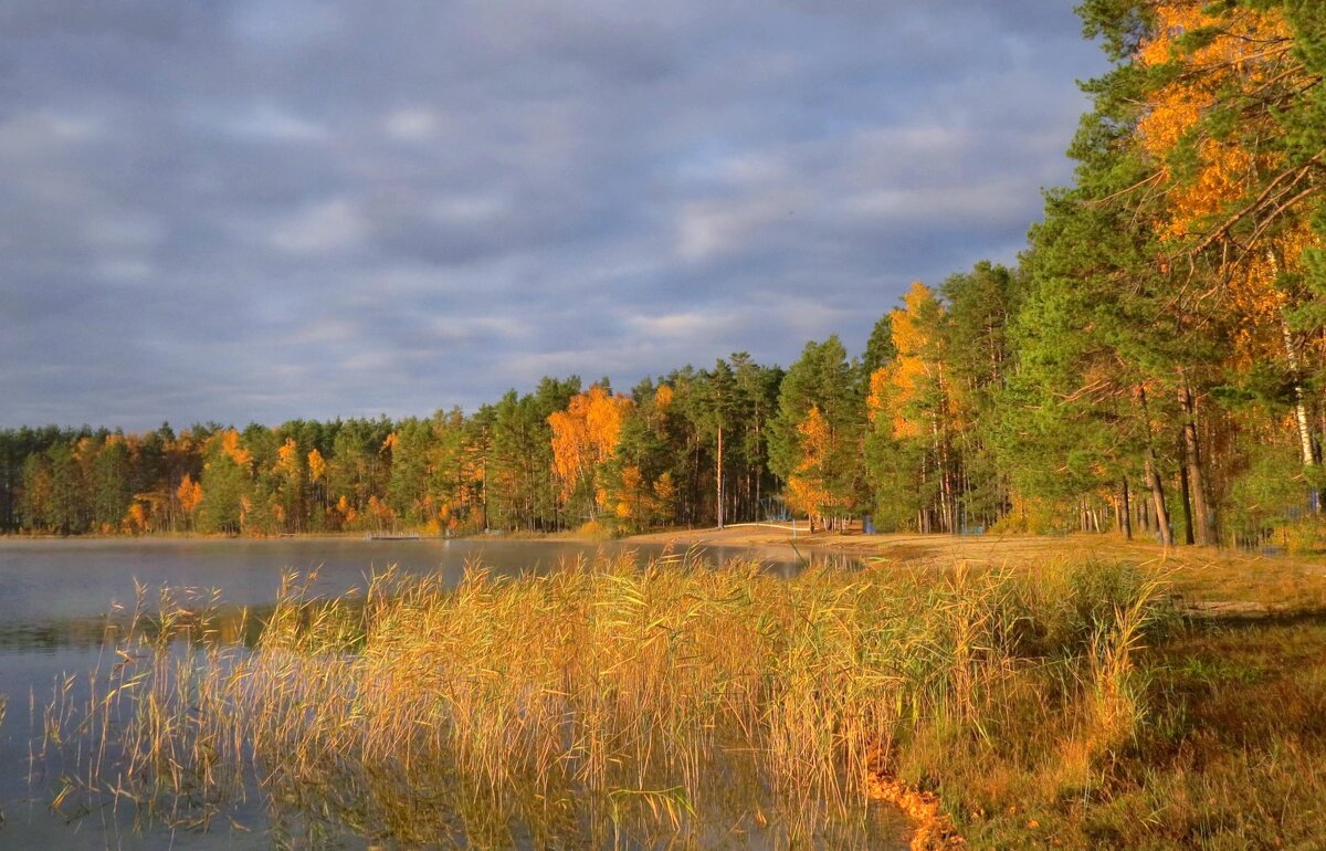 Осенний пейзаж - Ната Волга