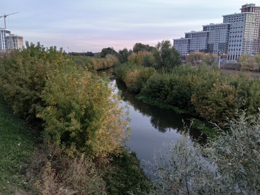 Вид с моста на речку Павловка - Tarka 