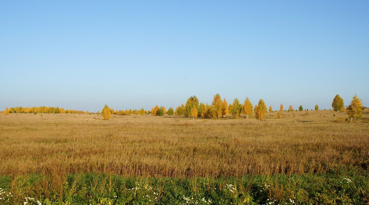 Бабье лето - Наталья Т