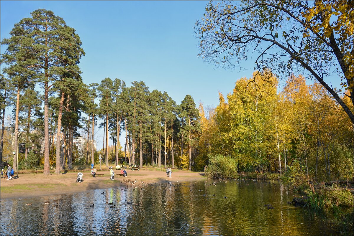 осень в Балатовском парке. Пермь. - Олег Курочкин