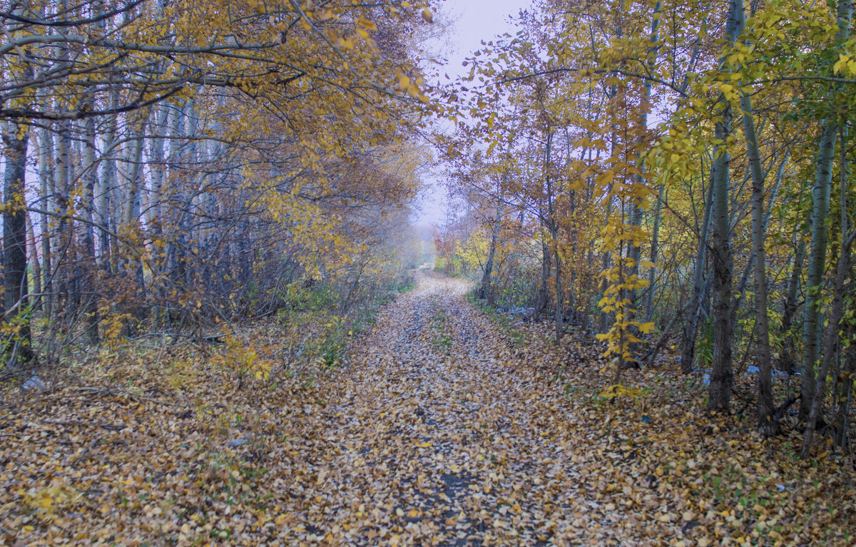 Осень - Георгий Морозов