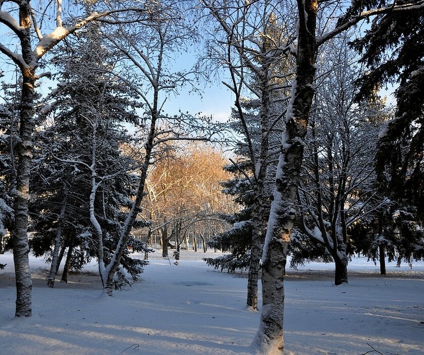 декабрьский парк в Ессентуках - Лариса Крышталь 