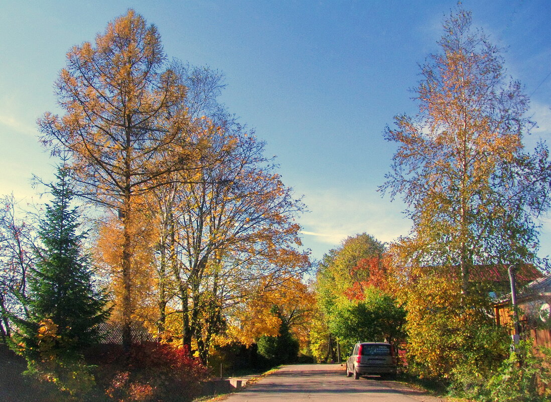 Дорога в осень - Людмила Смородинская