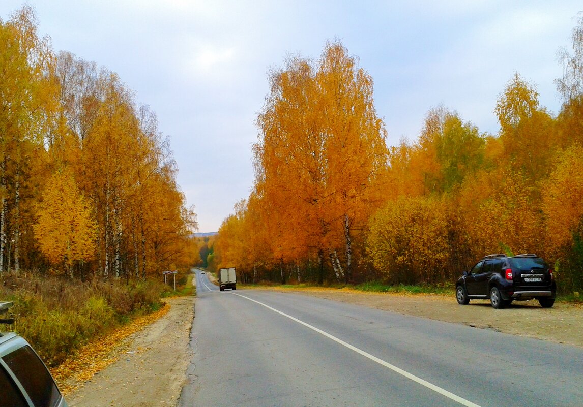 золотая осень - Владимир 