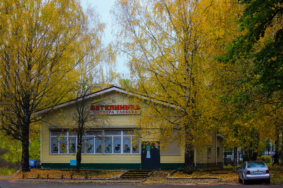 Осень - Сергей Кочнев