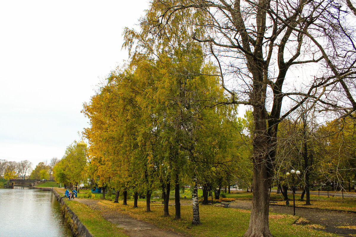 Осень в моём городе - Надежда Федорова