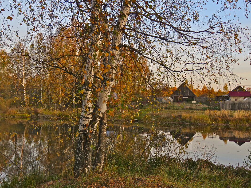 осень в деревне - НАТАЛЬЯ 