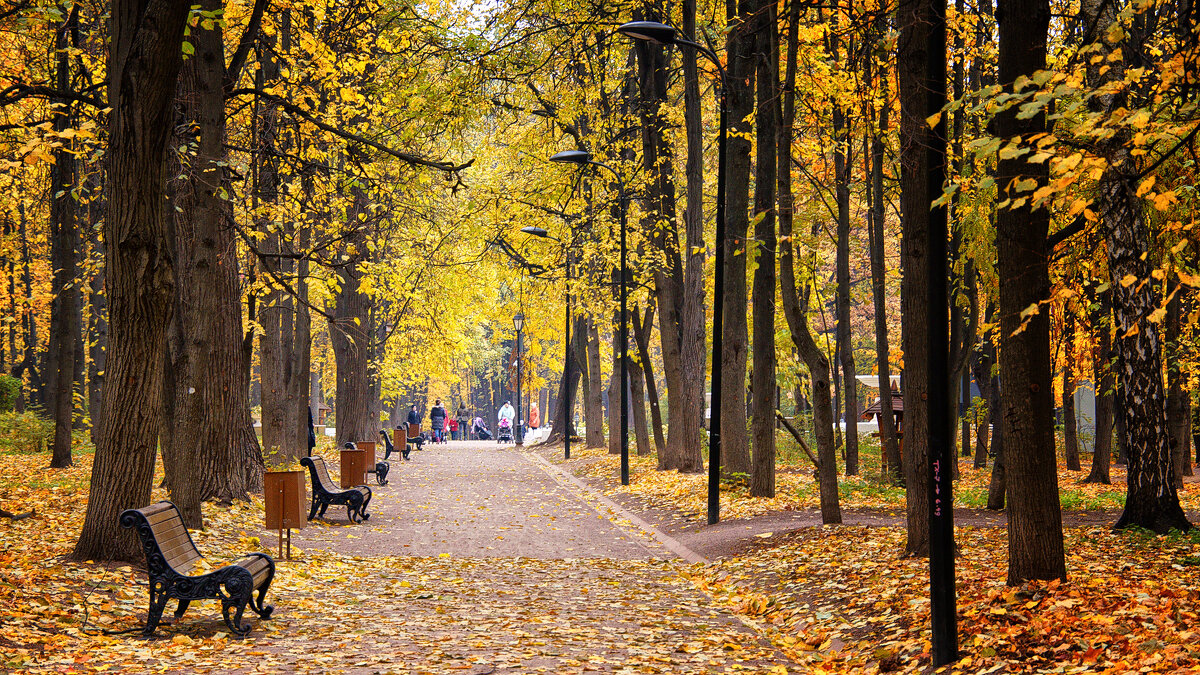 Москва. Осень в Нескучном саду - Михаил Танин 