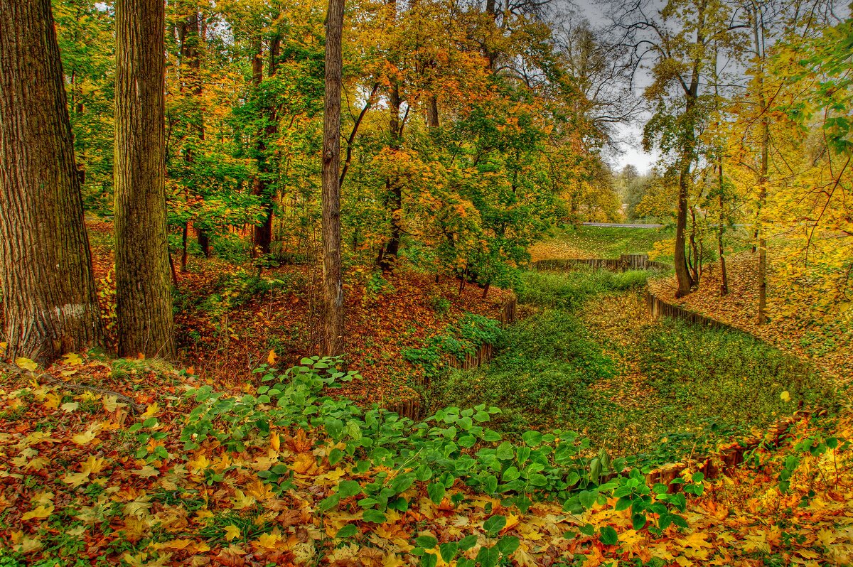 Осень в Царицыно - Наталья Лакомова