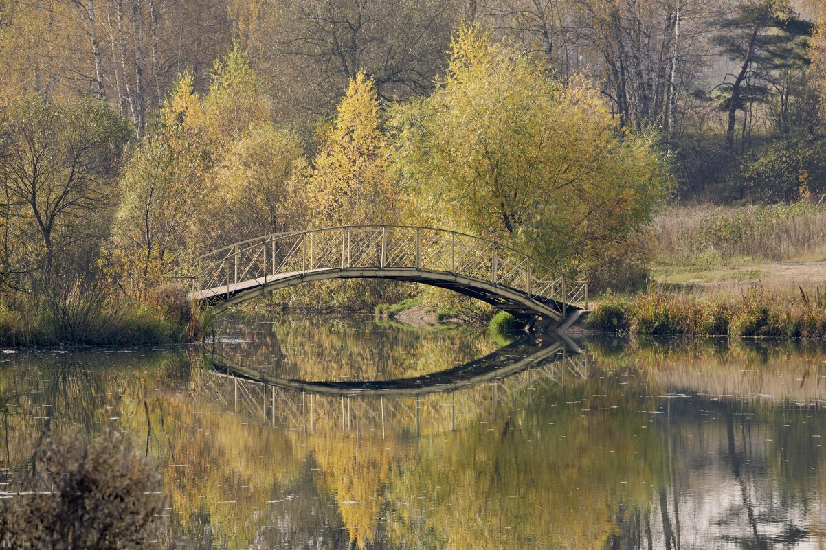 Старый мостик - Александр Запылёнов