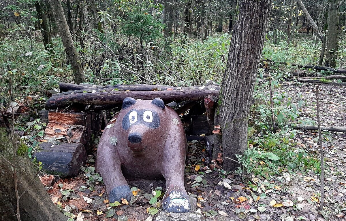 В Ржевском лесопарке. Медведь в берлоге - Елена Павлова (Смолова)