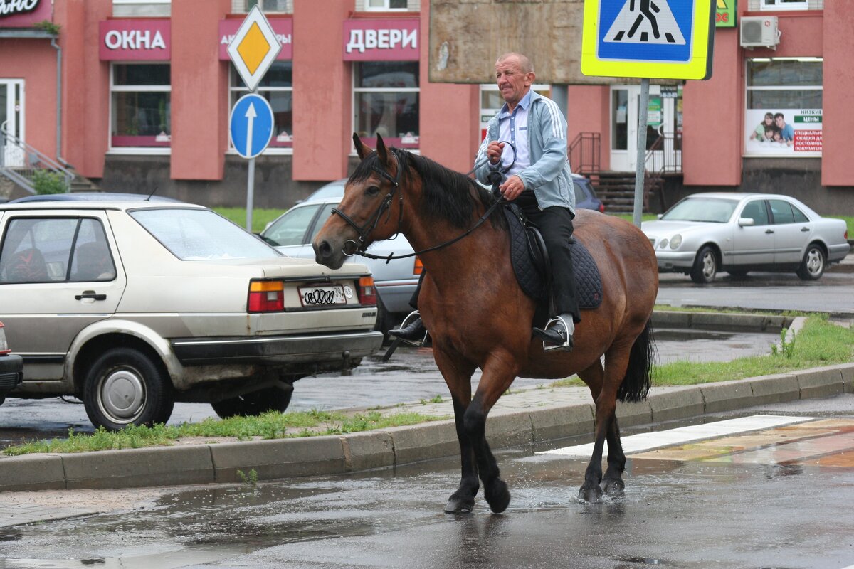 ...А у меня свой транспорт! - Людмила Жданова