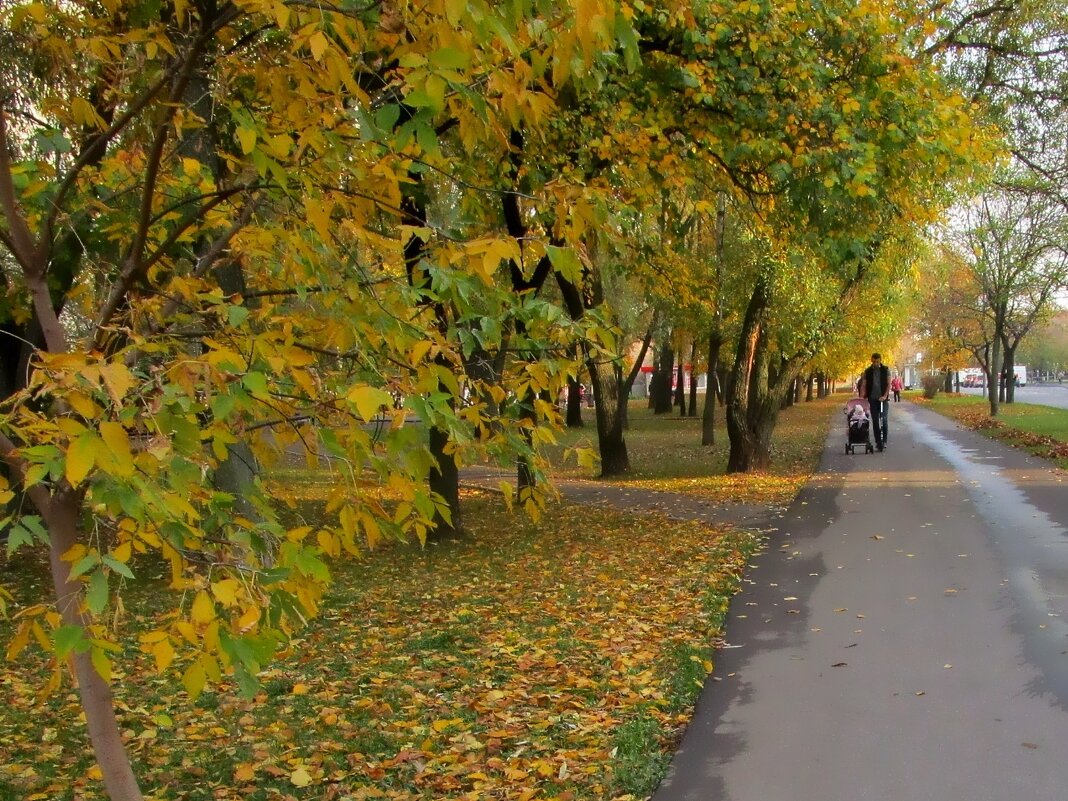 Осень в городе - Ольга Довженко