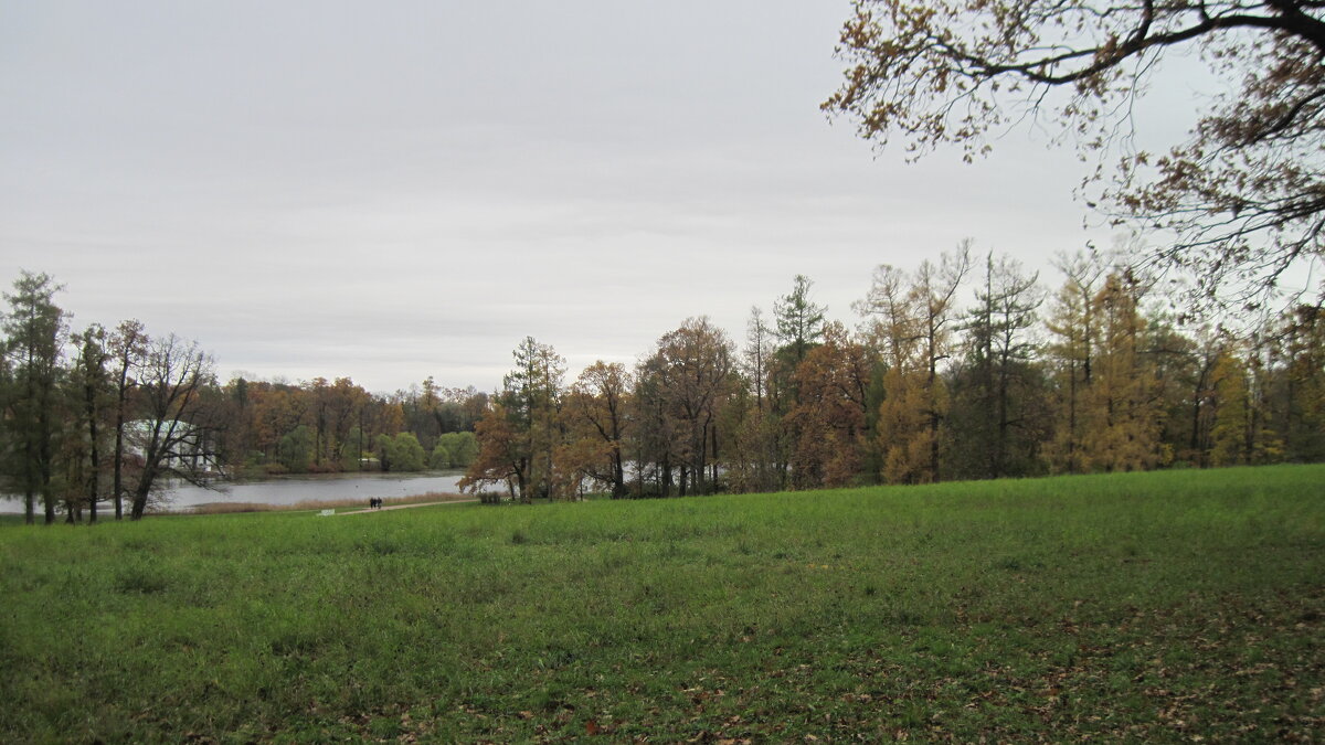 Екатерининский парк. Царское Село - Маера Урусова