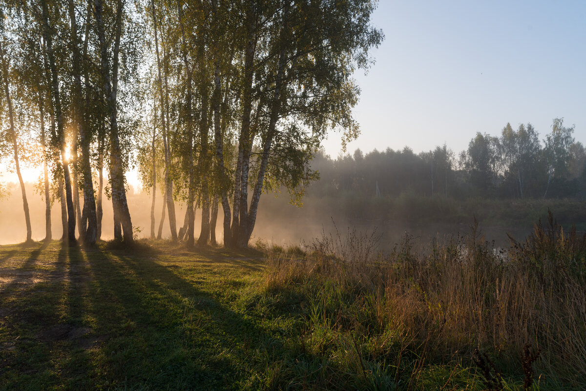 *** - Владимир Безбородов