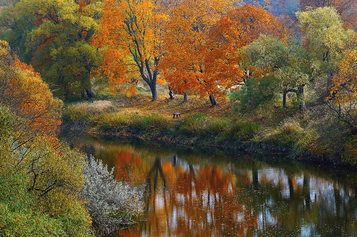 осень - Владимир Матва