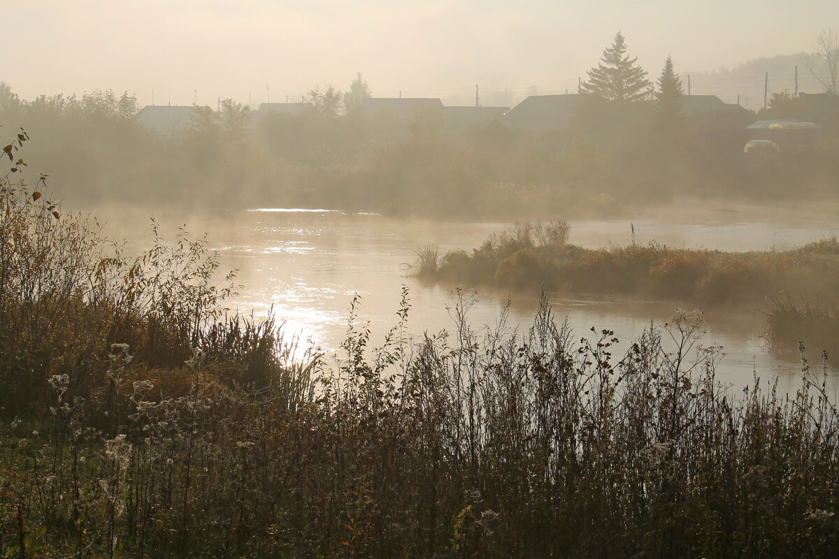 туманное утро - tamara kremleva