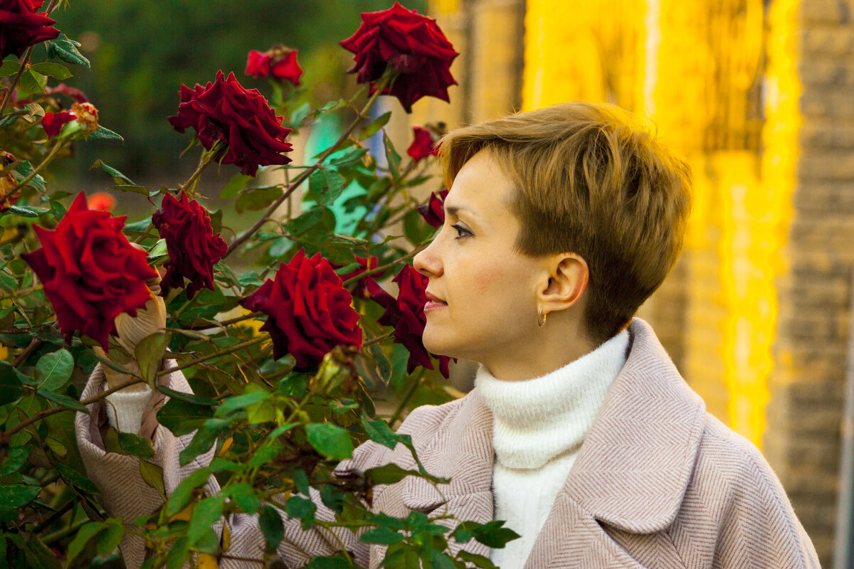 Розы в октябре - Андрей Ананьев 
