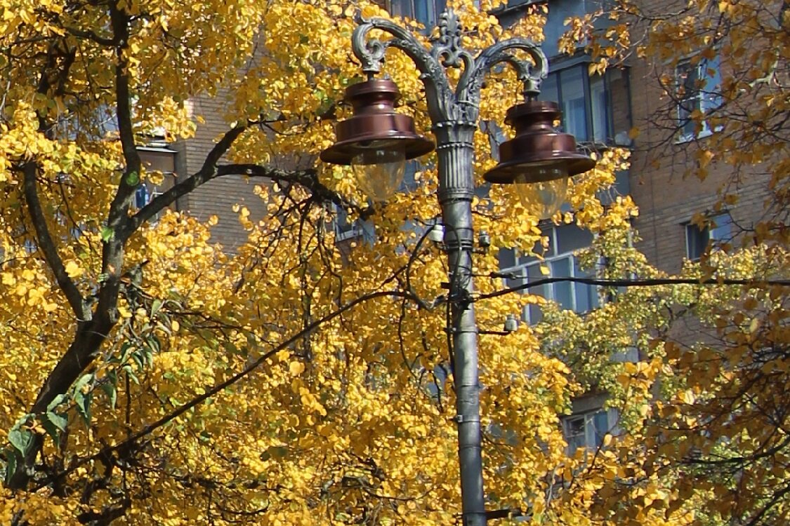 Яркая осень в миниатюре города - Надежд@ Шавенкова