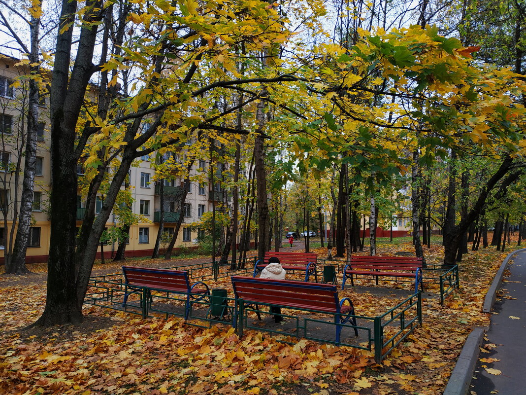 Зрелая осень в городе - Андрей Лукьянов