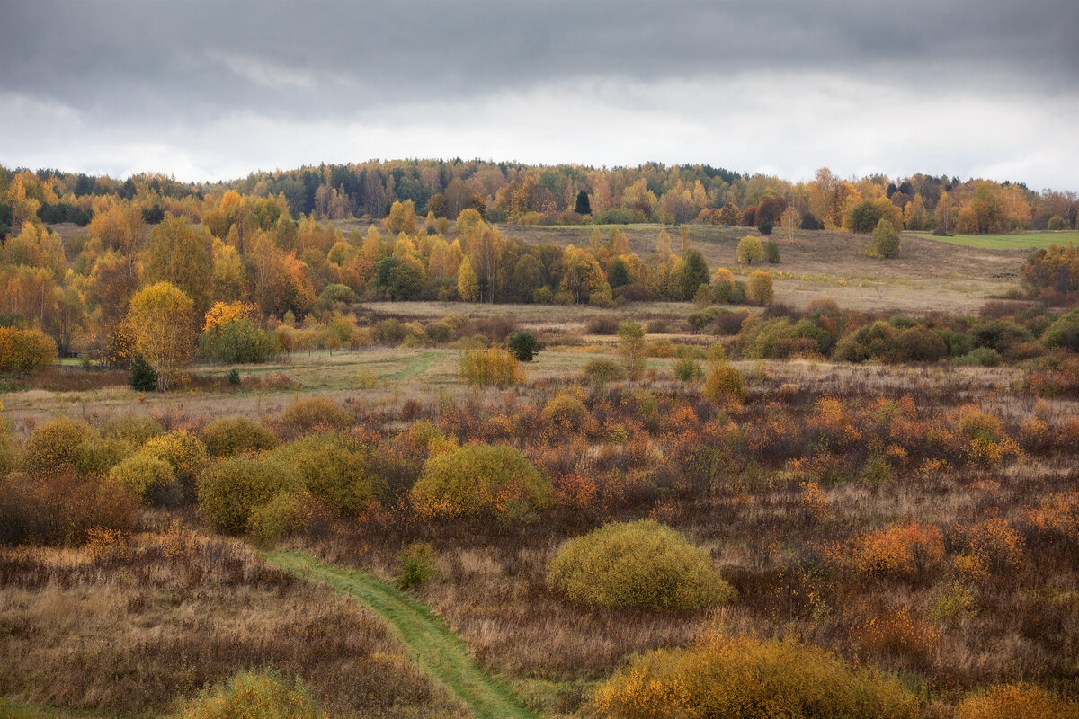 Осень в Пушкинских горах. - Юрий 