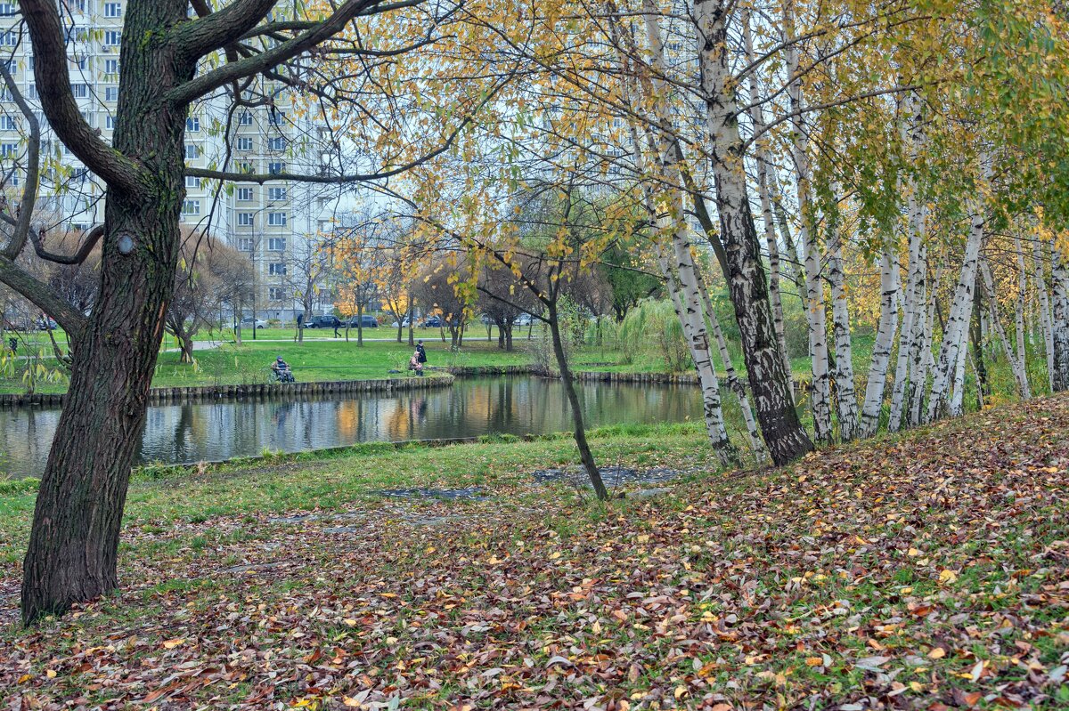 Воскресное утро в парке - Валерий Иванович