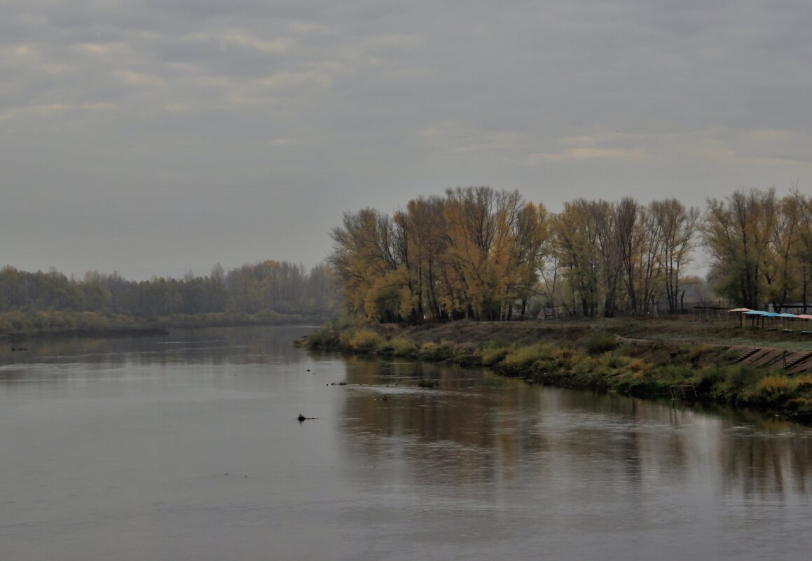 За городом . - Венера Чуйкова