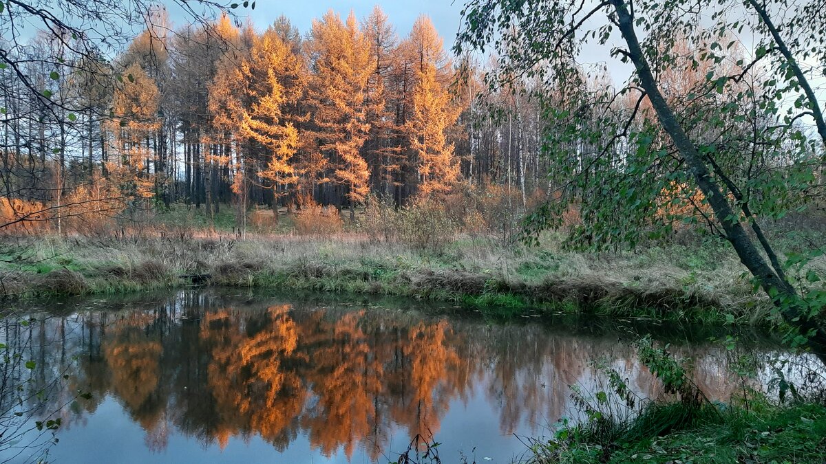 Конец октября - Елена Павлова (Смолова)