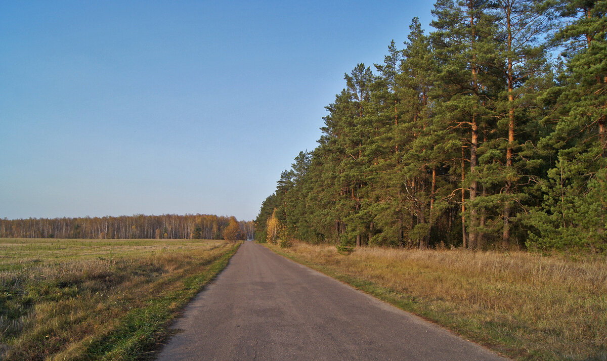 По осенним дорогам - Елена Кирьянова