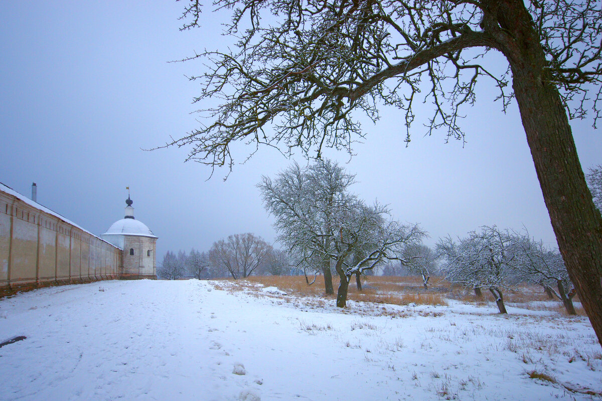 Мёрзнет на морозе башня монастыря - Евгений 