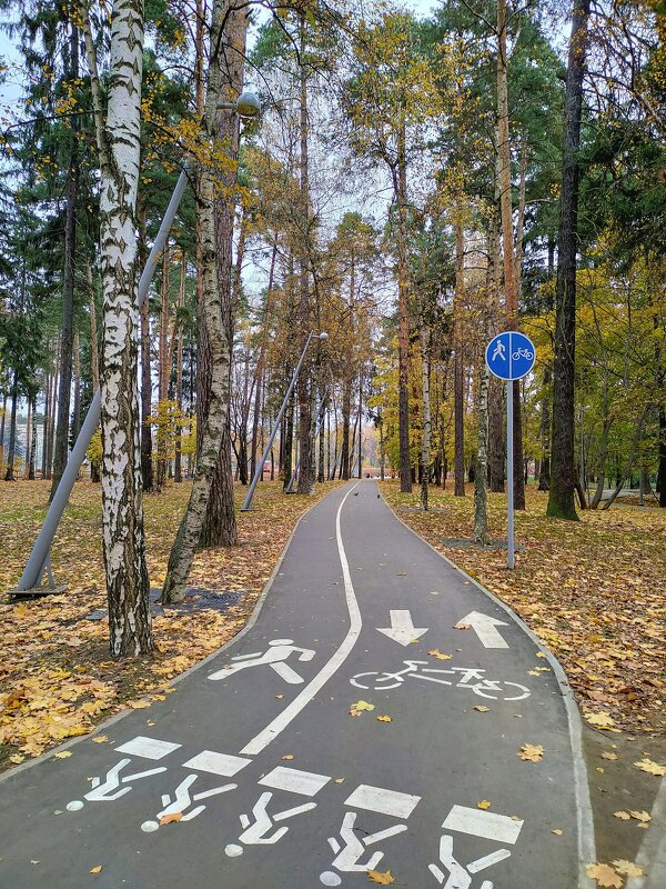 На старте! - Александр Романов 