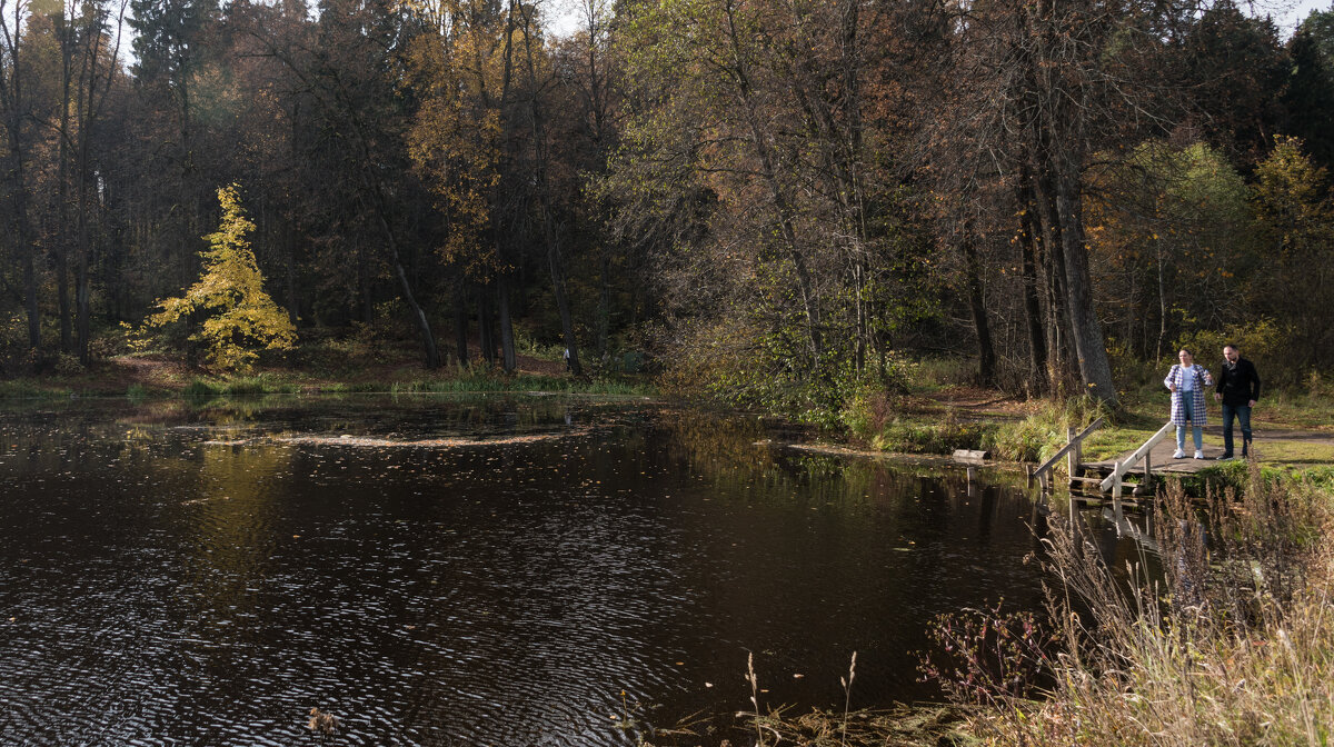 Осень в Середниково. - Владимир Безбородов