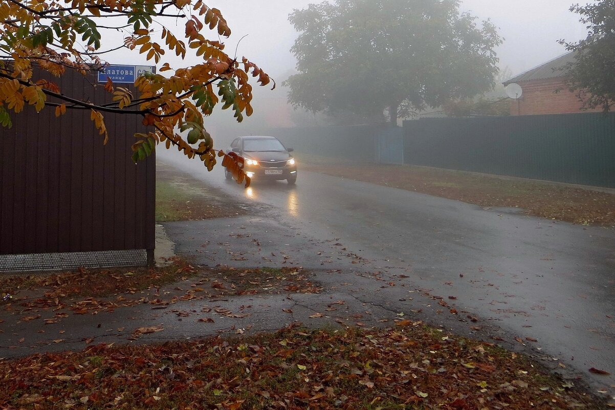 Утренний туман в первый день ноября - Татьяна Смоляниченко