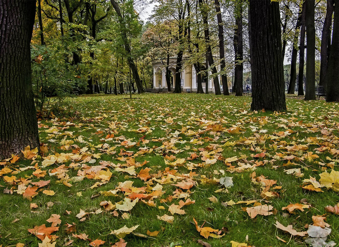 Осень в Михайловском саду. - Александр 