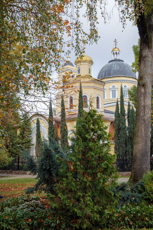 Парк - Сергей Соболев