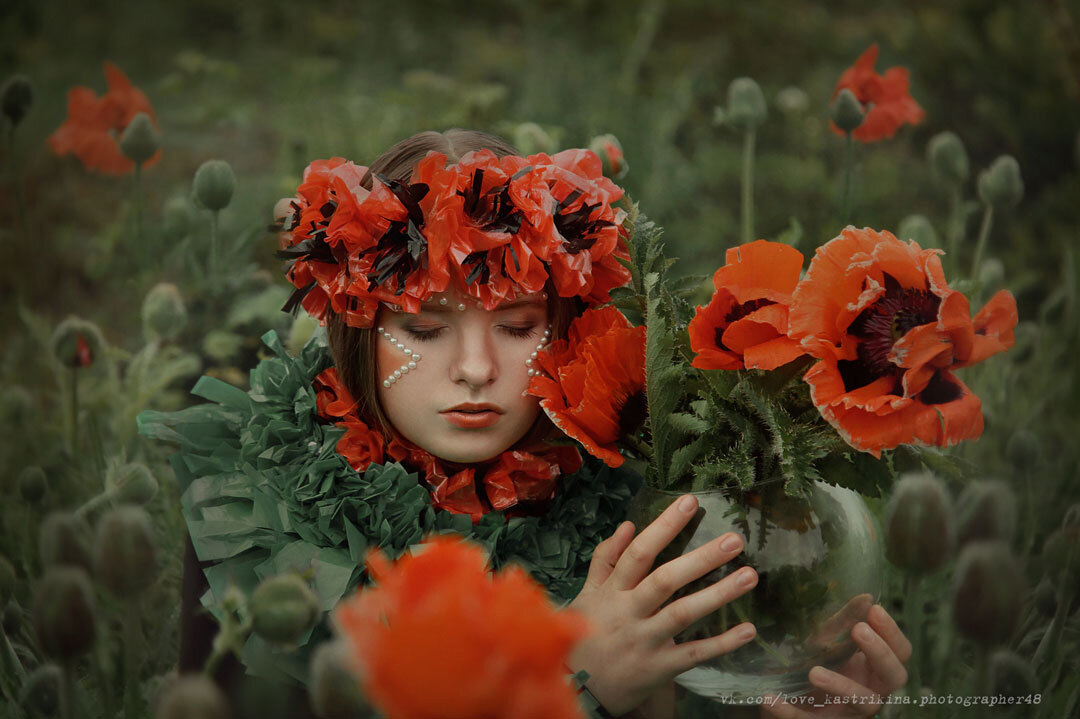 Проект "Мак" (из цикла  портрет цветка) - Любовь Кастрыкина