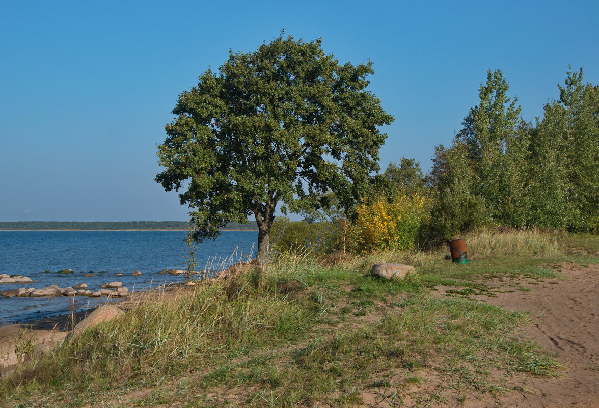 В сентябре у озера - lady v.ekaterina