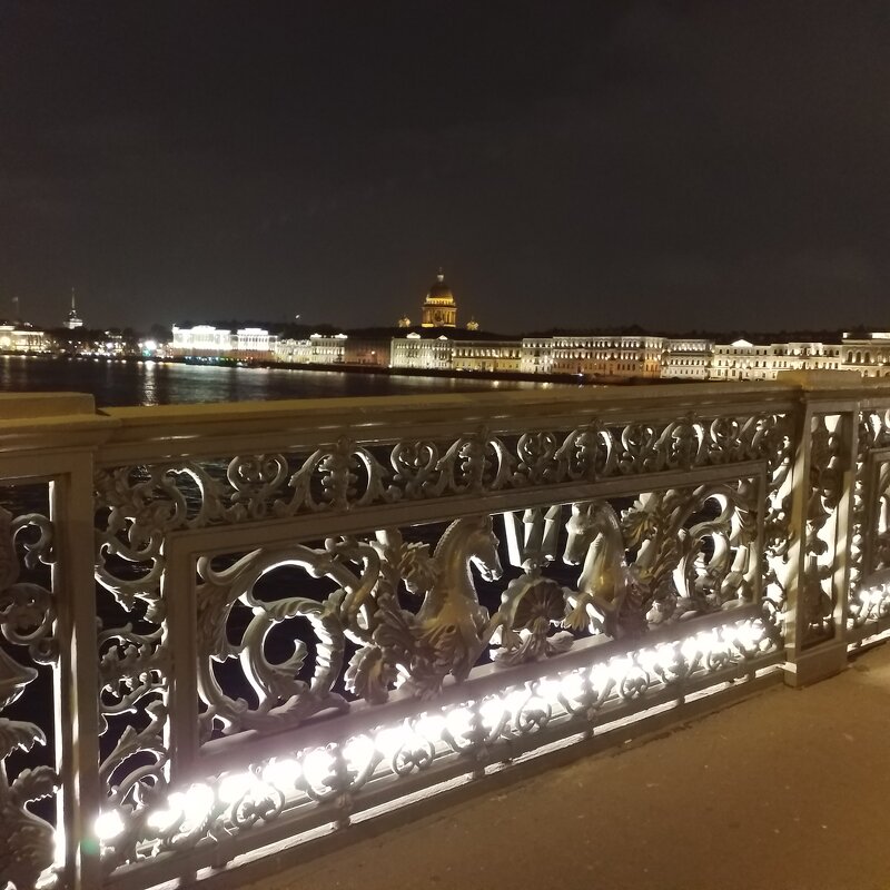 Вечерний Петербург.Взгляд с моста Лейтенанта Шмидтта. - Жанна Викторовна