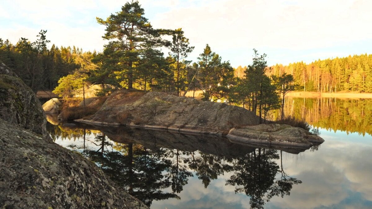 Природа Швеции в ноябре - wea *