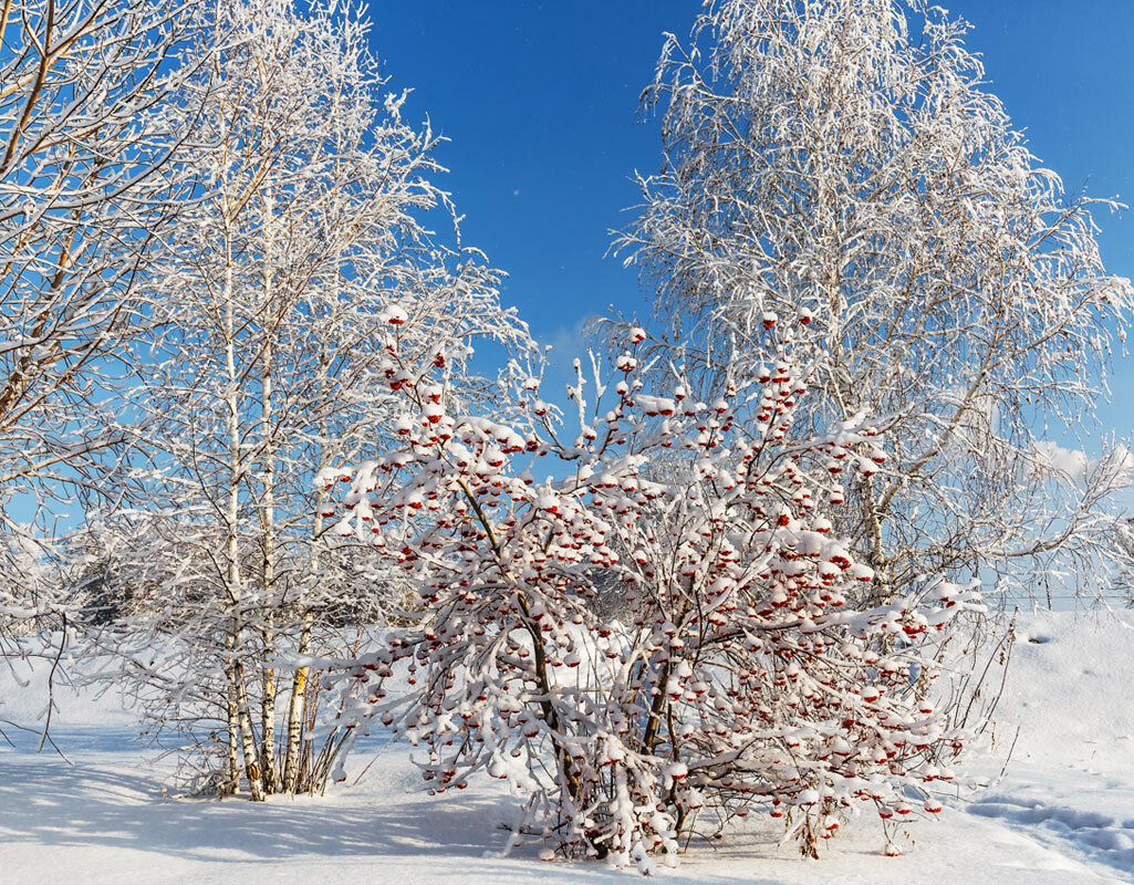 Снег - SanSan 