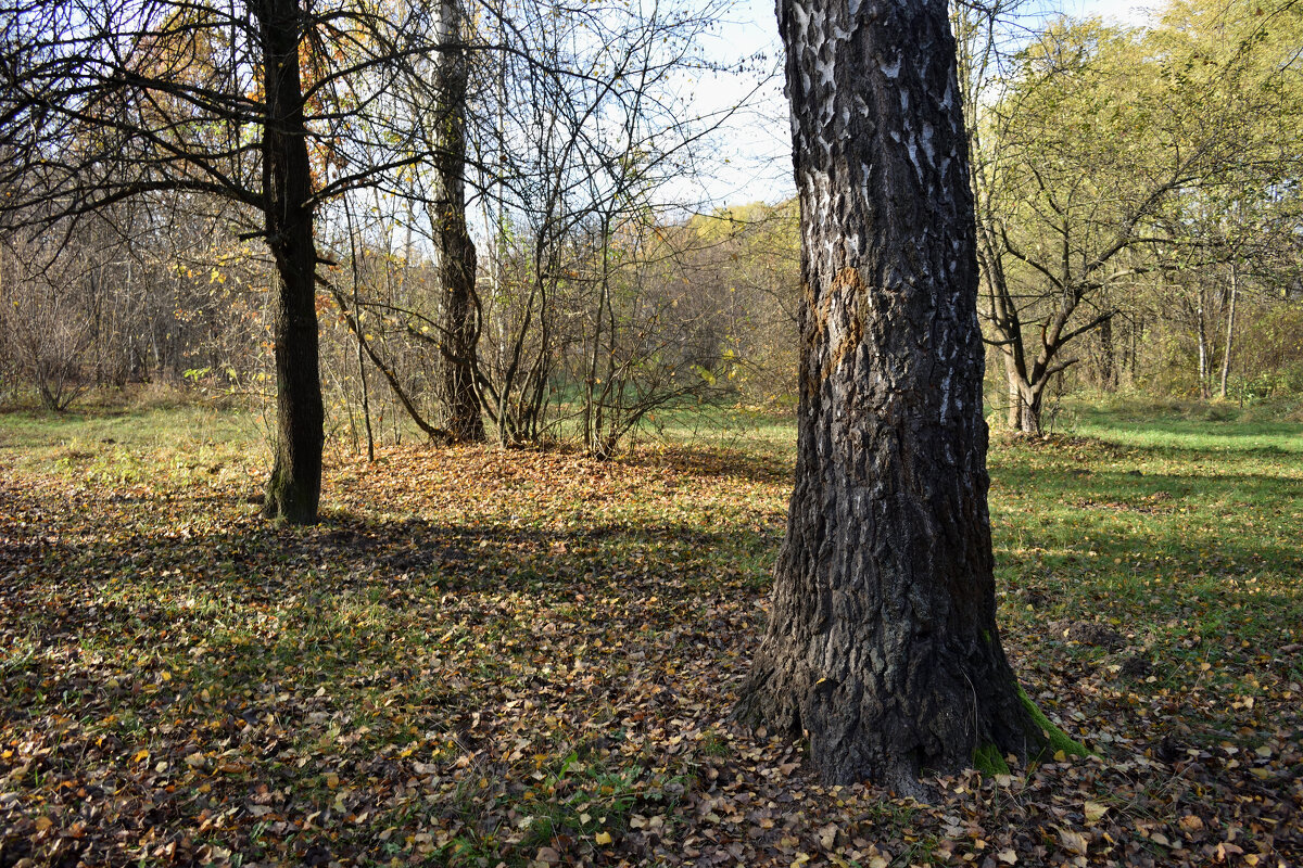 Осенний парк - Gera 