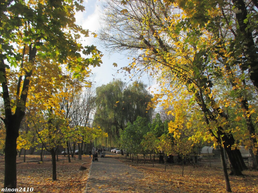 Ростовская осень - Нина Бутко