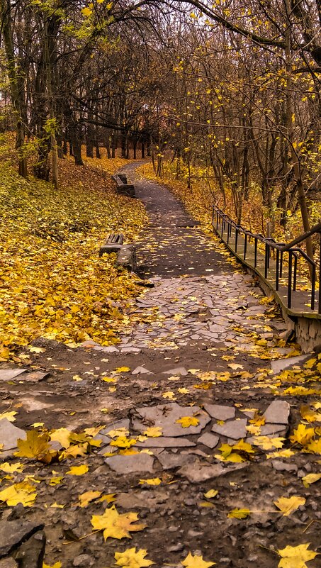 Ноябрьские зарисовки - Ольга Винницкая (Olenka)