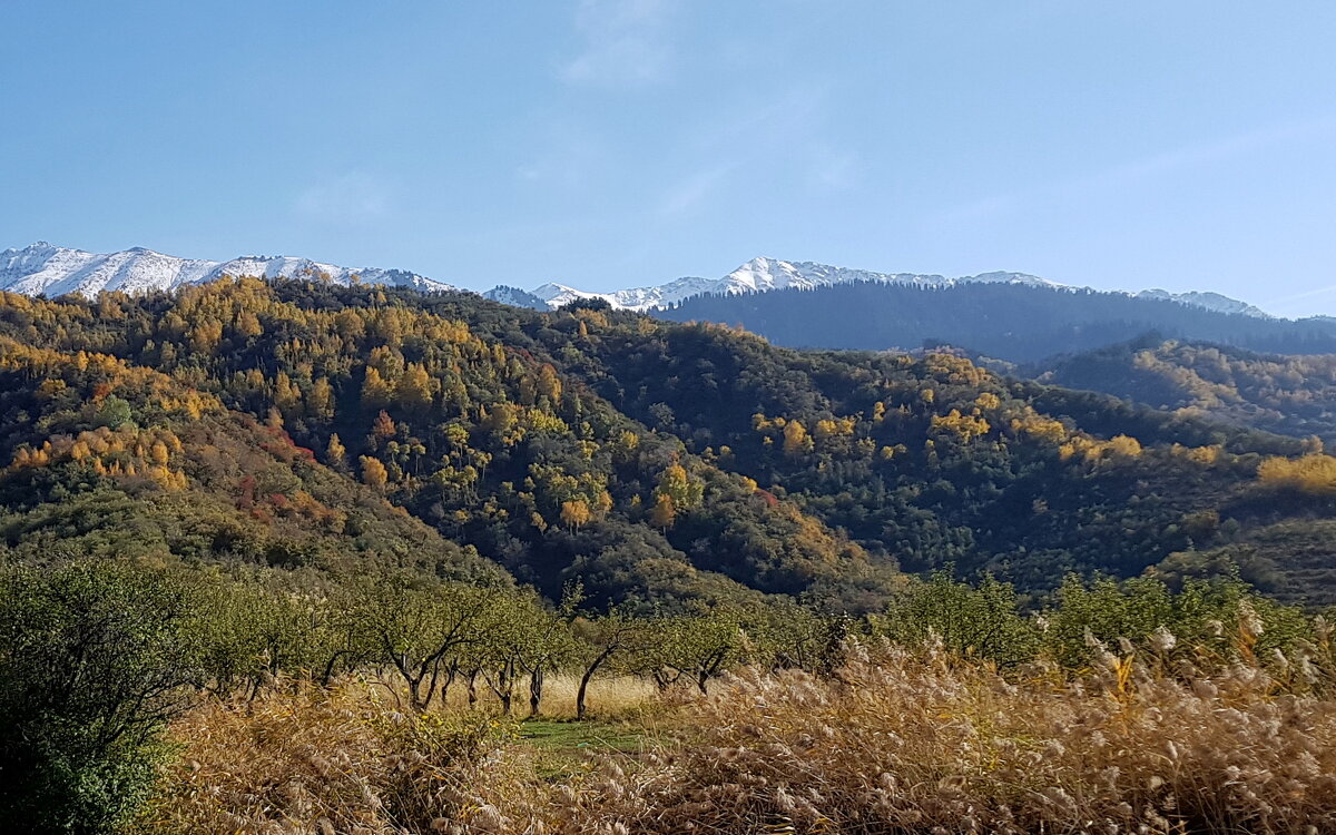 Осень в горах - LORRA ***