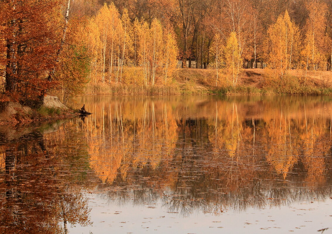 Зеркала осени - Татьяна Ломтева